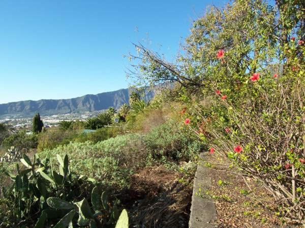 Casitas Vista Valle Bajo Ел Пасо Екстериор снимка